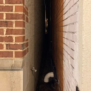 Meet your Posher, Elijah